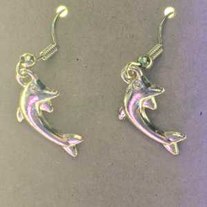 Dolphin Vector Units