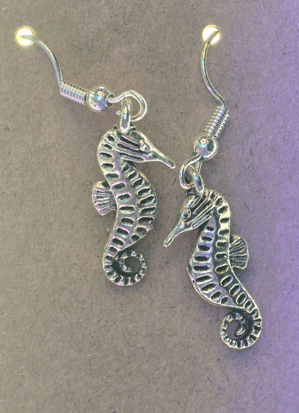Hippocampus Vector Units