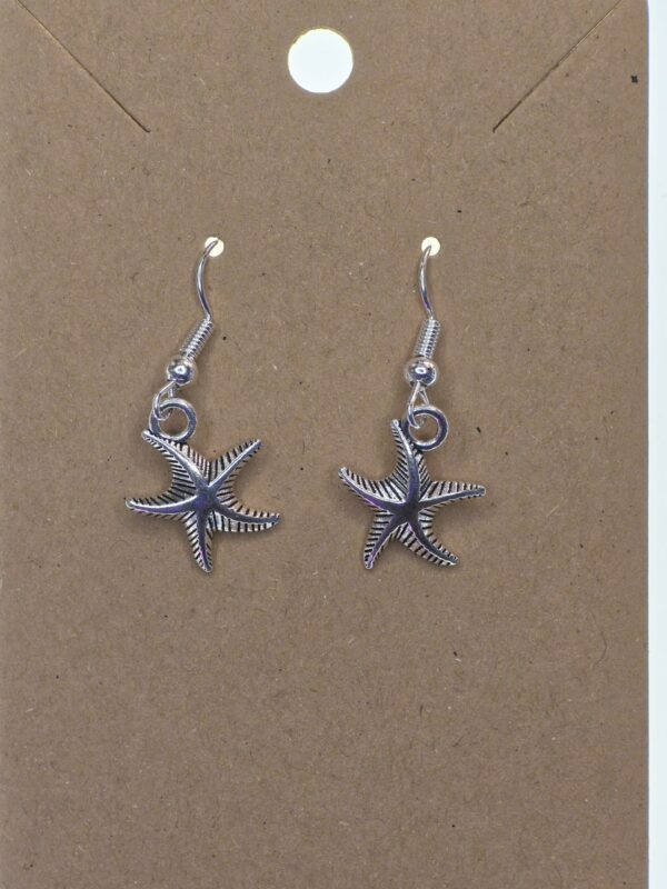Starfish Vector Units