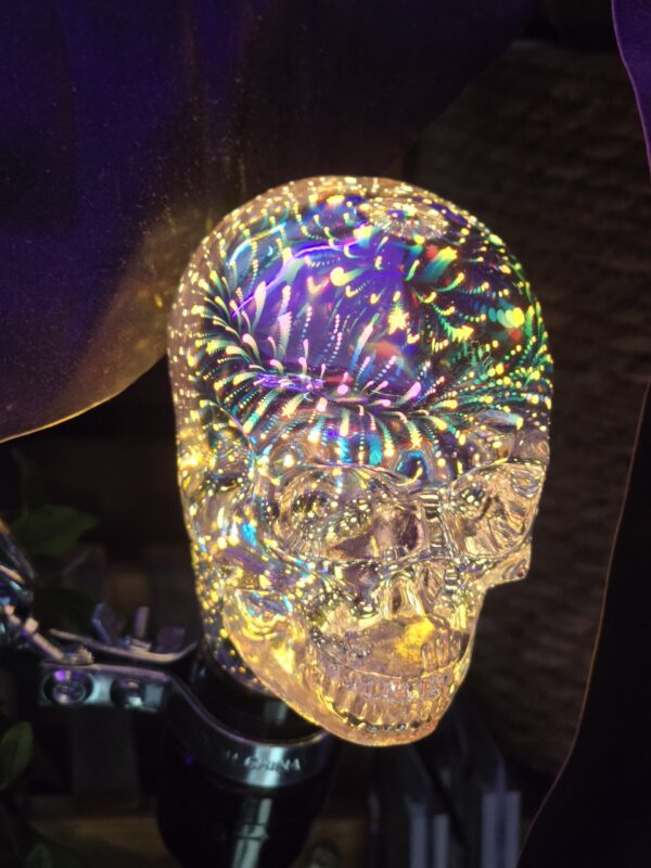 The Galaxy Cranium Bulb