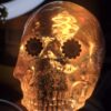 The Optic-Nerve Bulb
