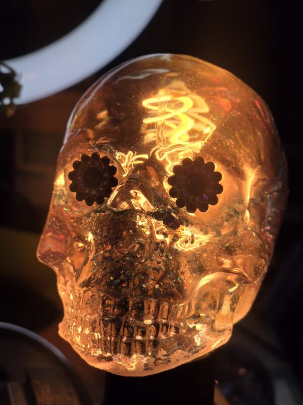 The Optic-Nerve Bulb