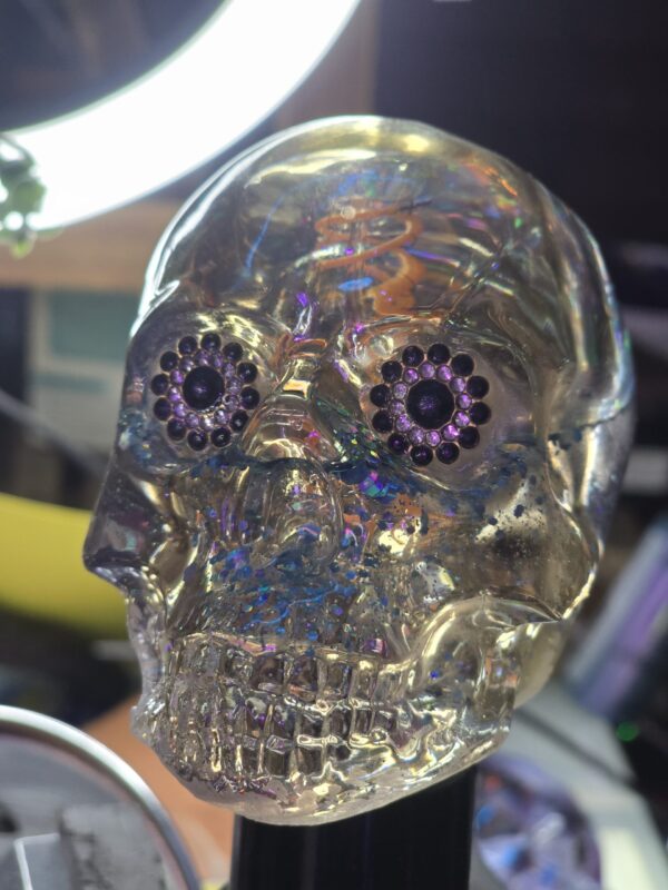 The Optic-Nerve Bulb