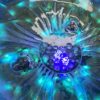 The Bio-Lume Pond Node